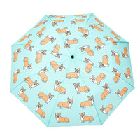 Chien Corgi | Parapluie Canard